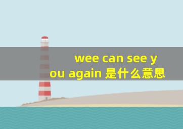 wee can see you again 是什么意思